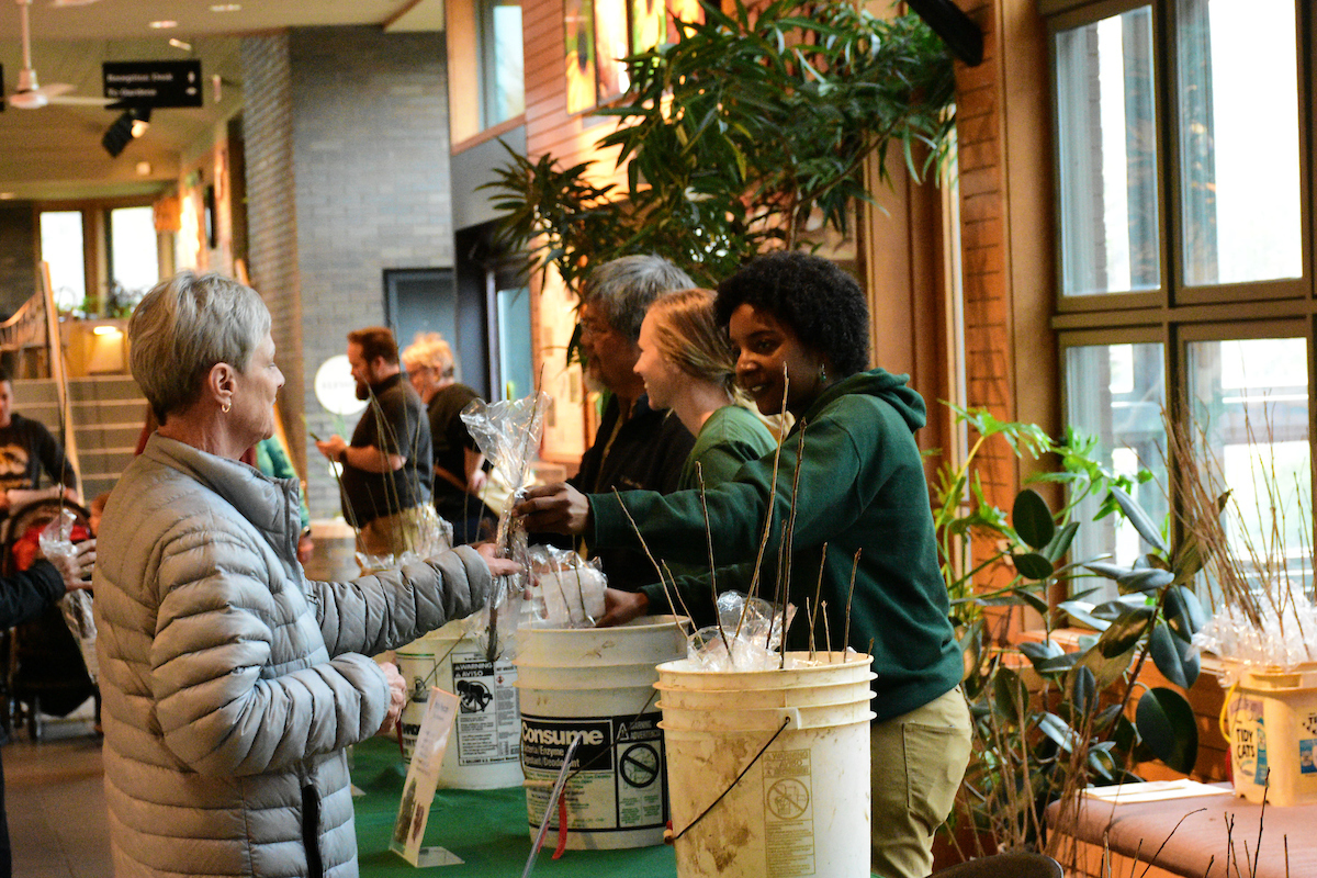 Missouri Arbor Day Tree Giveaway Missouri Botanical Garden missouri-arbor-day-tree-giveaway-missouri-botanical-garden